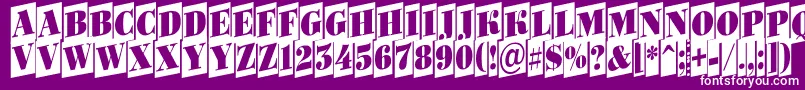 Bodoni6 Font – White Fonts on Purple Background