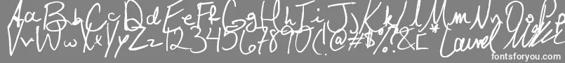 Laurel Font – White Fonts on Gray Background