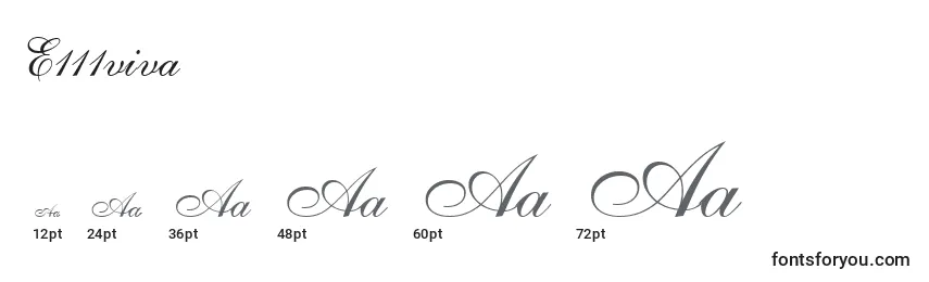E111viva Font Sizes