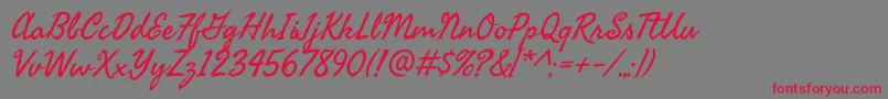 SeaweedscriptRegular Font – Red Fonts on Gray Background