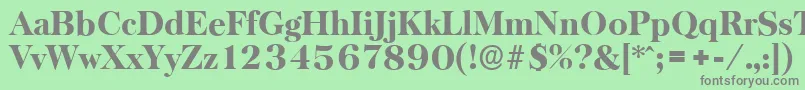 BaskervilleserialHeavyRegular Font – Gray Fonts on Green Background