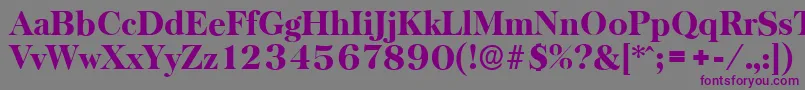 BaskervilleserialHeavyRegular Font – Purple Fonts on Gray Background