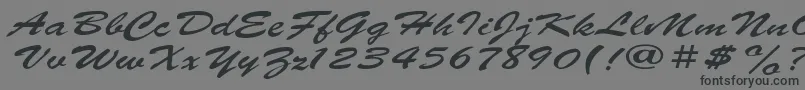 ParsekExpanded-Schriftart – Schwarze Schriften auf grauem Hintergrund