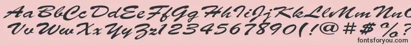 ParsekExpanded Font – Black Fonts on Pink Background