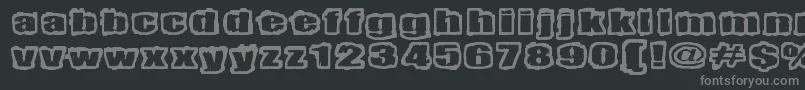 Lisätietoja Terrieri-fontista Terrieri-fontti – harmaat kirjasimet mustalla taustalla