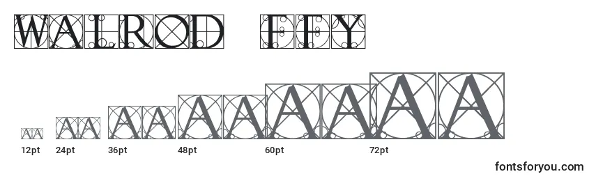 Walrod ffy Font Sizes