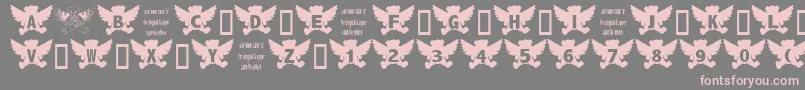 AngelBear Font – Pink Fonts on Gray Background