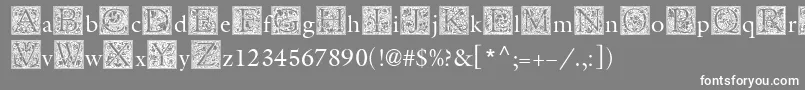 MedievalInitialOne Font – White Fonts on Gray Background