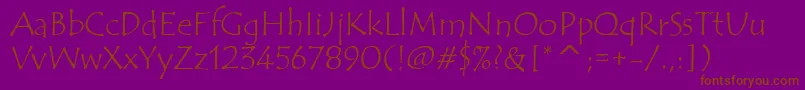 TempusSansItcTt Font – Brown Fonts on Purple Background