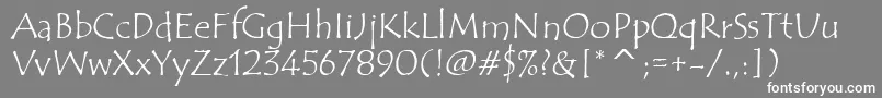 TempusSansItcTt Font – White Fonts on Gray Background