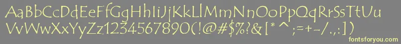 TempusSansItcTt Font – Yellow Fonts on Gray Background