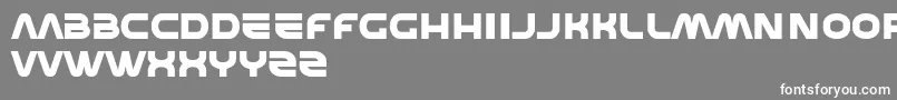 Shedevr Font – White Fonts on Gray Background