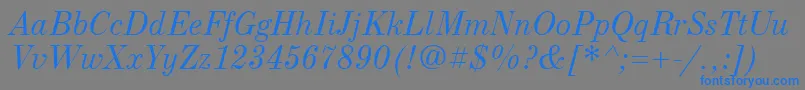 NewStandardOldItalic Font – Blue Fonts on Gray Background