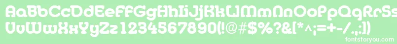 MediaBold Font – White Fonts on Green Background