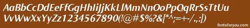 NormaBolditalic-Schriftart – Weiße Schriften auf braunem Hintergrund