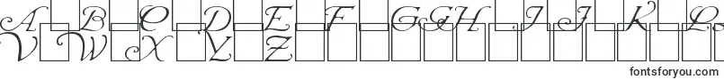 WrennInitialsLight-Schriftart – Schriftarten, die mit W beginnen