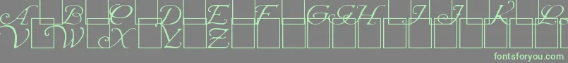 WrennInitialsLight Font – Green Fonts on Gray Background