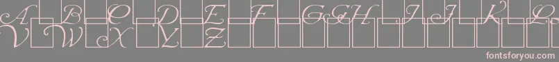 WrennInitialsLight Font – Pink Fonts on Gray Background