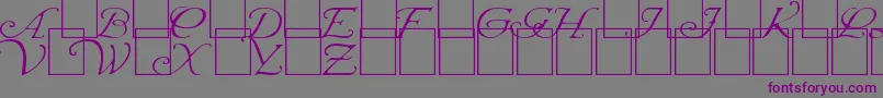 Шрифт WrennInitialsLight – фиолетовые шрифты на сером фоне