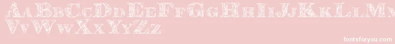 Kahirpersonaluse Font – White Fonts on Pink Background
