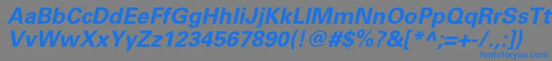 UniversltstdBoldobl Font – Blue Fonts on Gray Background