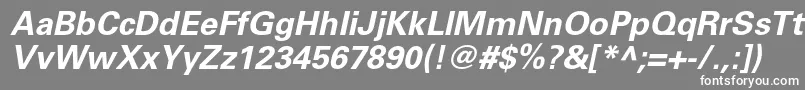 フォントUniversltstdBoldobl – 灰色の背景に白い文字