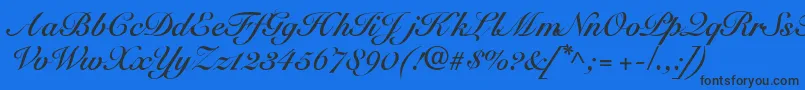 SnellbounddbBold Font – Black Fonts on Blue Background