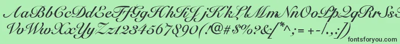 SnellbounddbBold Font – Black Fonts on Green Background