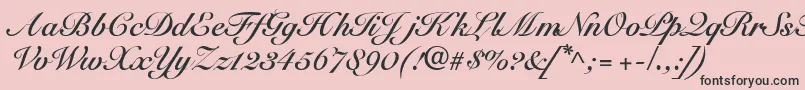 SnellbounddbBold Font – Black Fonts on Pink Background