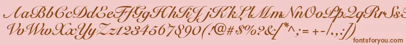 SnellbounddbBold Font – Brown Fonts on Pink Background