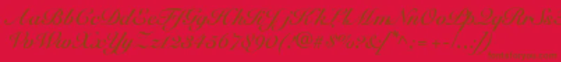 SnellbounddbBold Font – Brown Fonts on Red Background