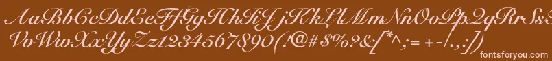 SnellbounddbBold Font – Pink Fonts on Brown Background