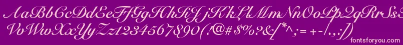 SnellbounddbBold Font – Pink Fonts on Purple Background
