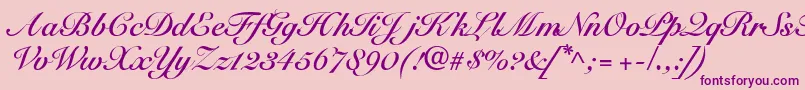 SnellbounddbBold Font – Purple Fonts on Pink Background