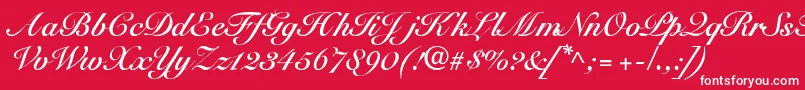 SnellbounddbBold Font – White Fonts on Red Background