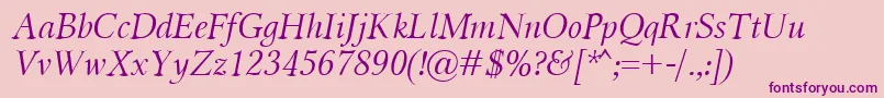 MiramarItalic Font – Purple Fonts on Pink Background