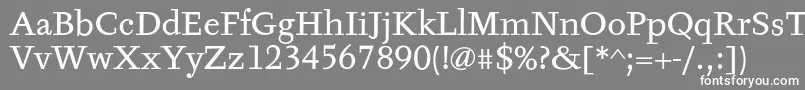 TyfaTextOt-Schriftart – Weiße Schriften auf grauem Hintergrund