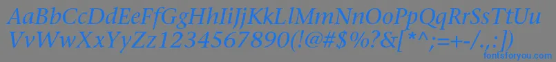 StoneserifstdMediumitalic Font – Blue Fonts on Gray Background