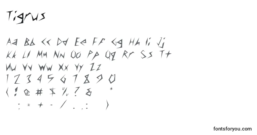 Schriftart Tigrus – Alphabet, Zahlen, spezielle Symbole