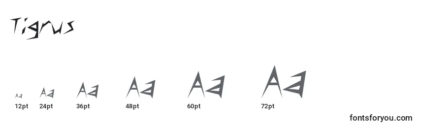 Размеры шрифта Tigrus