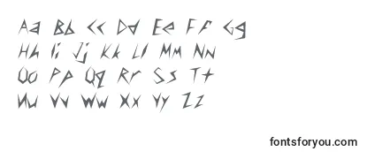 Обзор шрифта Tigrus