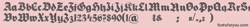 HermannGotischDecoc Font – Black Fonts on Pink Background