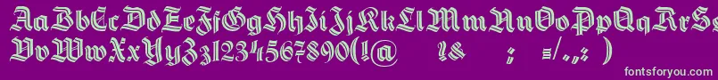 HermannGotischDecoc Font – Green Fonts on Purple Background