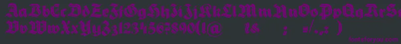 HermannGotischDecoc Font – Purple Fonts on Black Background