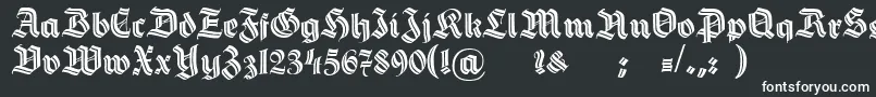 HermannGotischDecoc Font – White Fonts