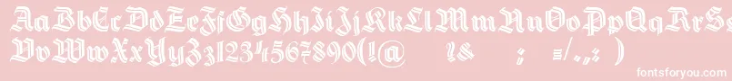 HermannGotischDecoc Font – White Fonts on Pink Background