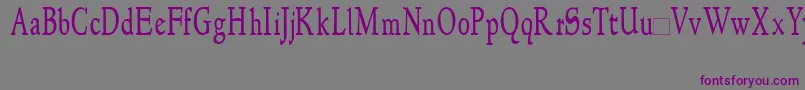 Шрифт Newstylecondensed – фиолетовые шрифты на сером фоне