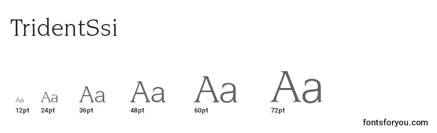 TridentSsi Font Sizes