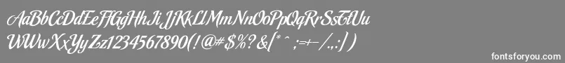 MalbeckRegular Font – White Fonts on Gray Background