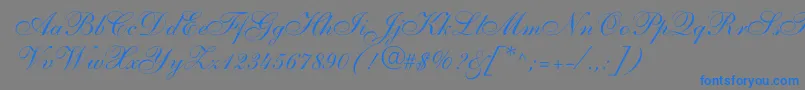 ShelleyallegroscriptNormal-Schriftart – Blaue Schriften auf grauem Hintergrund